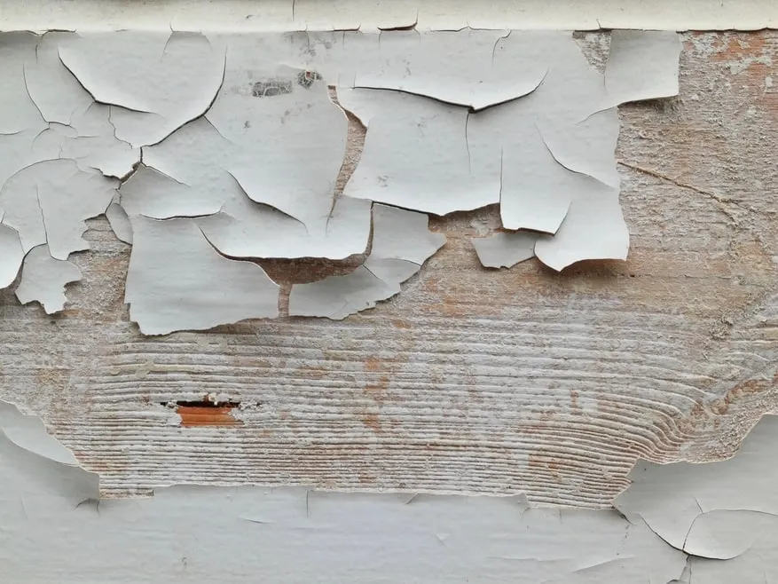 Old white paint peeling away from weathered exterior boards, the kind of surface that needs repair before it is repainted.