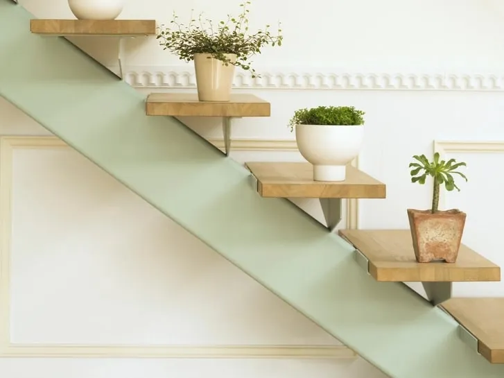A staircase with white-painted risers and stringer against a pale green wall, with plants on the treads.
